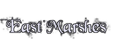 East Marshes Logo