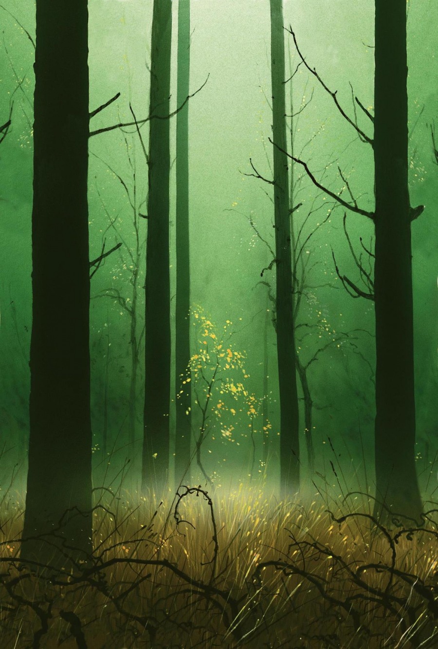 Forest by John Avon