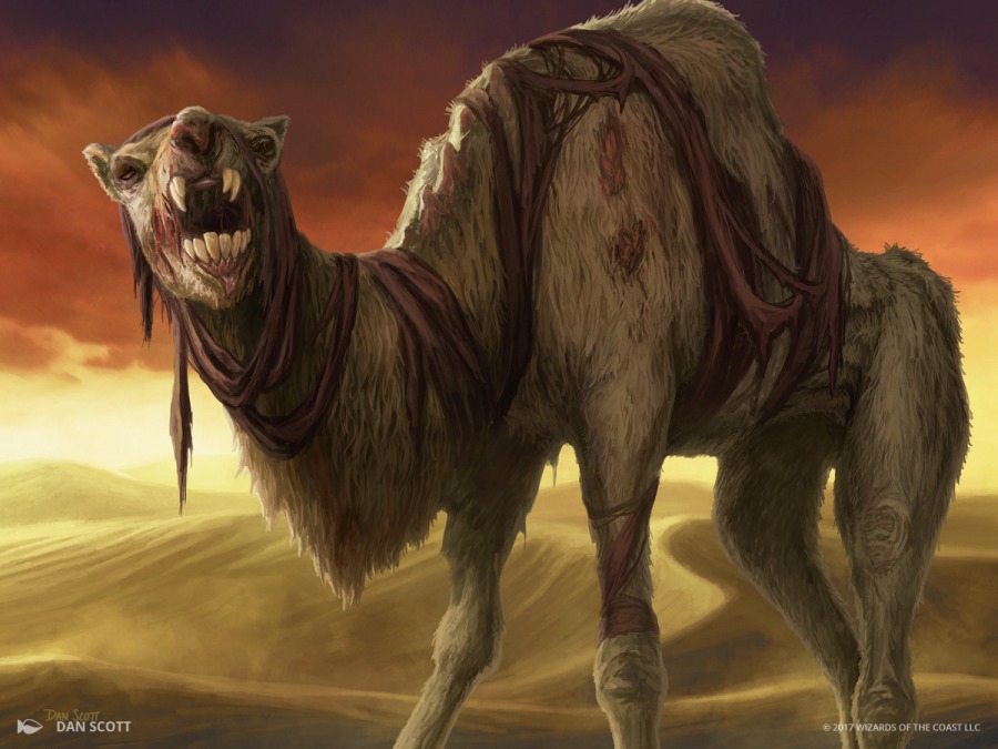 Wretched Camel by Dan Scott