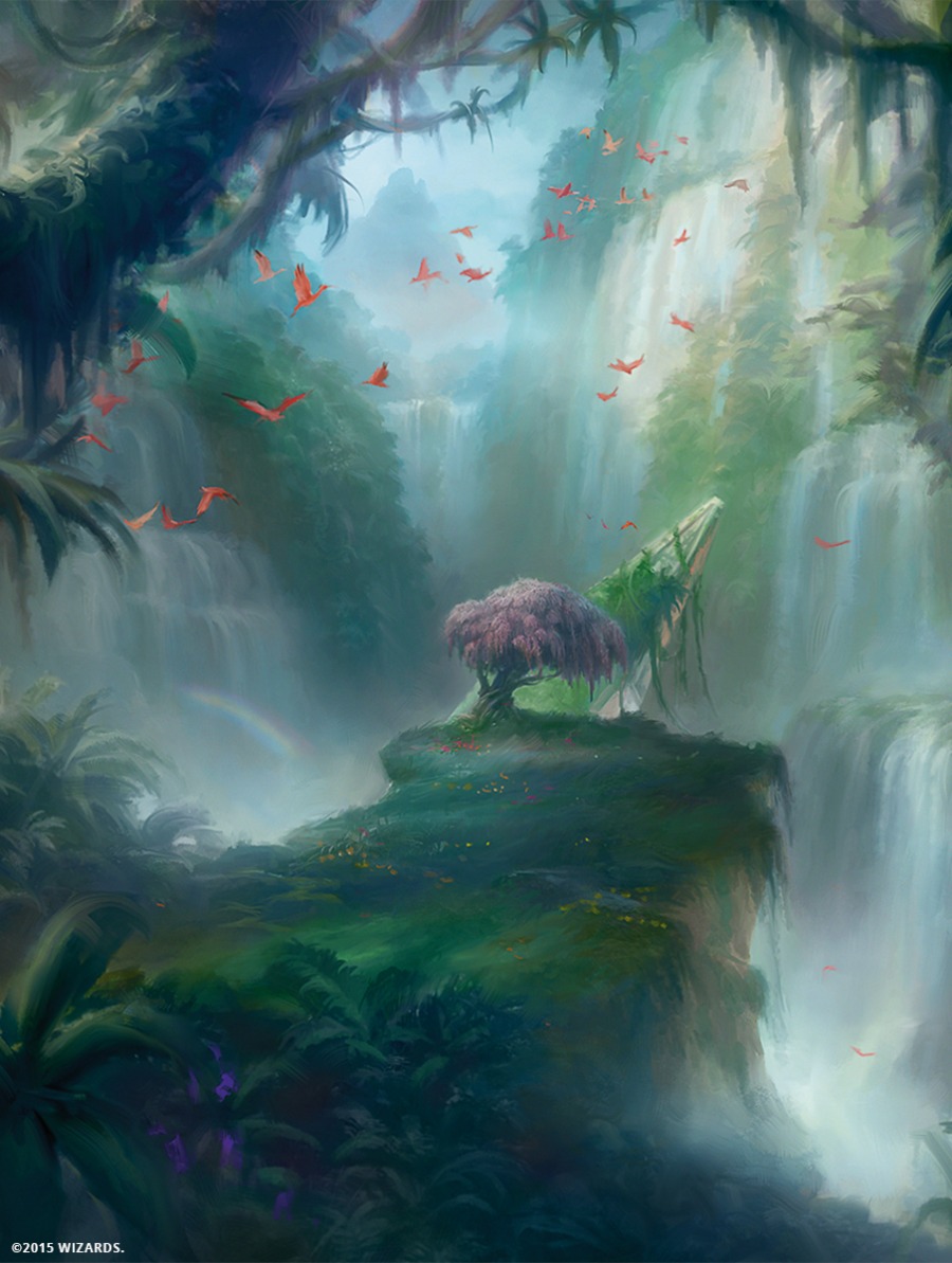 Misty Rainforest by Ryan Yee