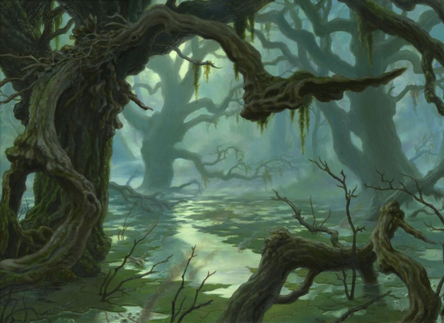 Swamp by Raoul Vitale