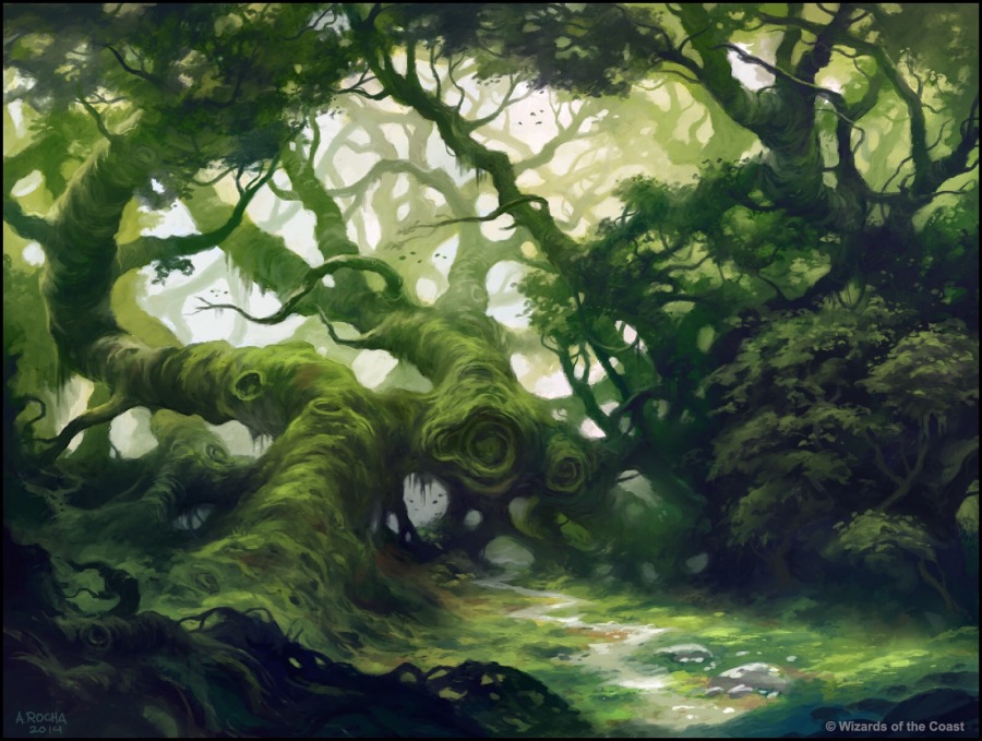 Fertile Thicket by Andreas Rocha