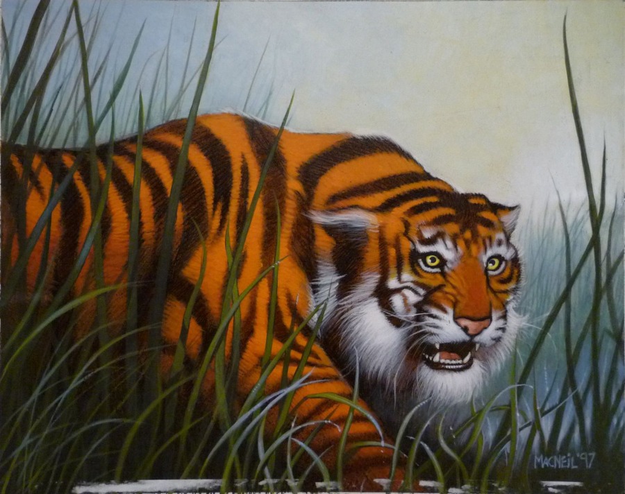 Stalking Tiger by Colin MacNeil