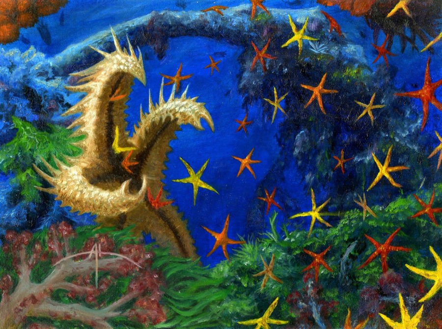 Spiny Starfish by Alan Rabinowitz