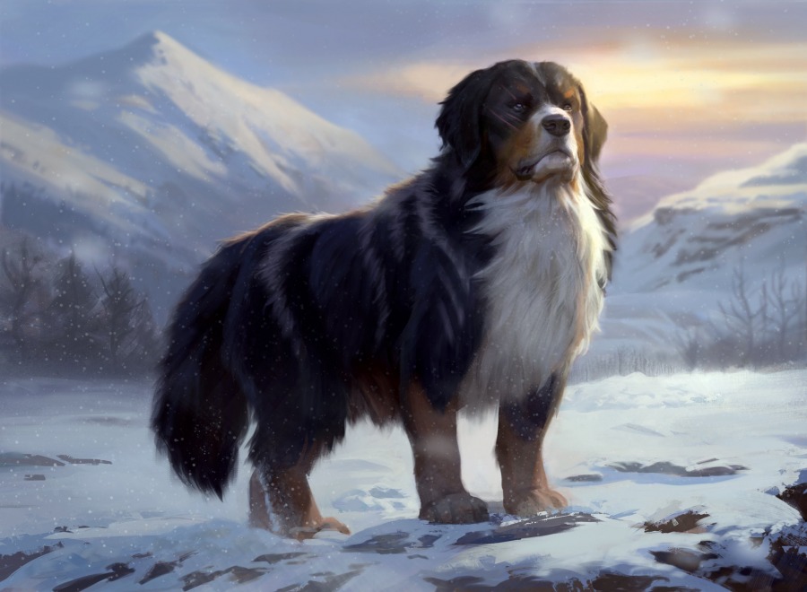 Alpine Watchdog by Forrest Imel