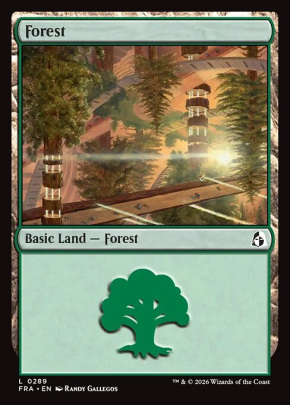 Forest Forest
